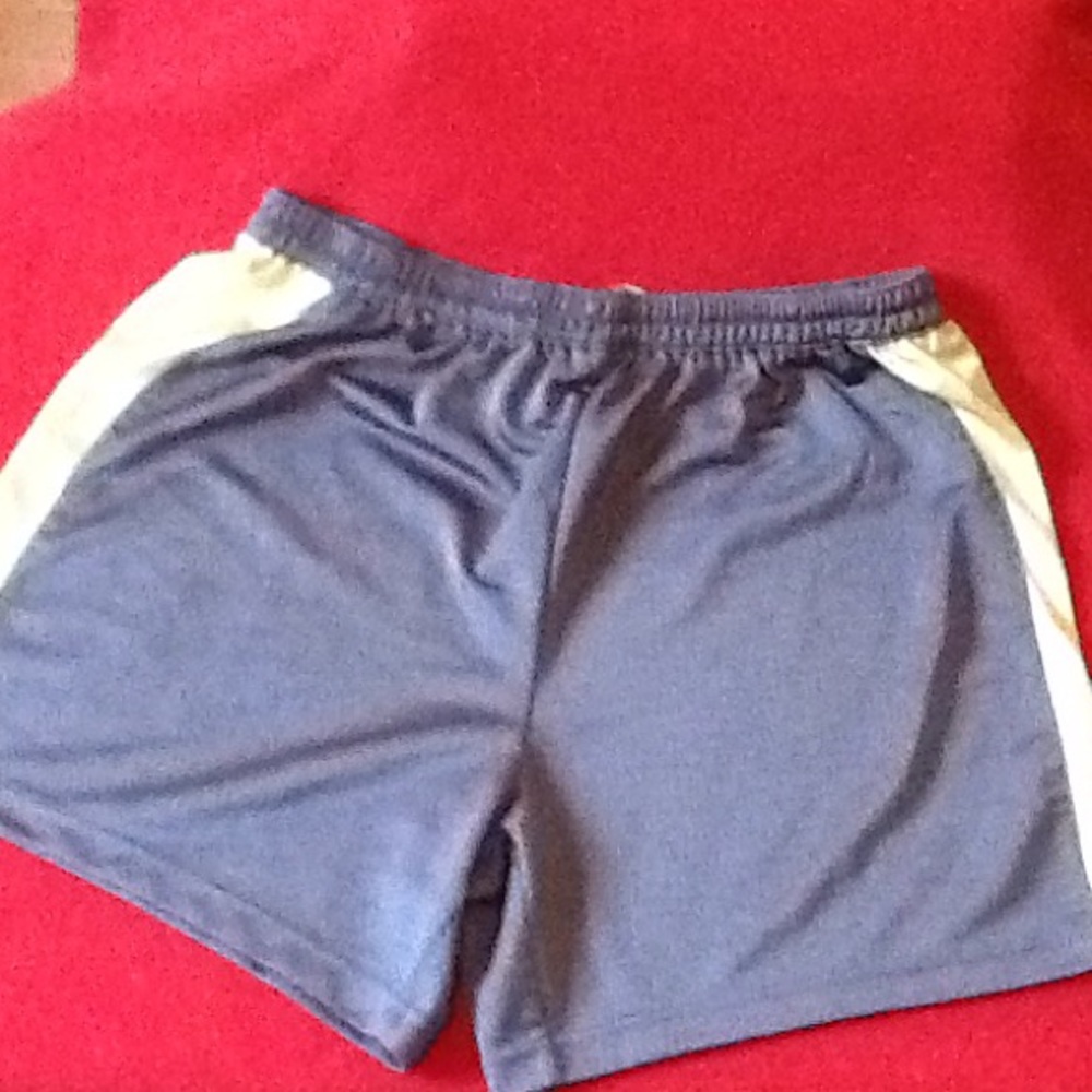 Energy Zone shorts